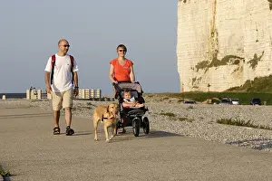 Chairs: Labrador for a walk with his masters Normandy France