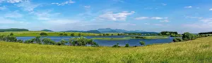 Locality: Lac des Bordes, near Brion, Cezallier region, Puy