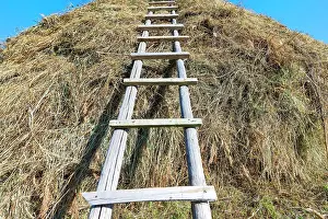 Shan: Ladder on a Haystack, Sati village, Tien Shan Mountains