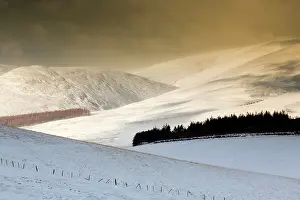 Ladder: Ladder Hills - in snow