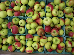 Finger: Lady Apples