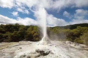 Thermal: Lady Knox Geyser erupting at Wai-O-Tapu Geothermal W