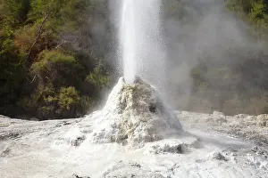 Thermal: Lady Knox Geyser erupting at Wai-O-Tapu Geothermal W