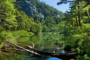 Puzzle: Lago Chico - Chico Lake located amidst Valdivian