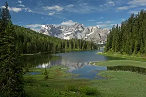 Misurina: Lago di Misurina / Misurina lake with marginal fen