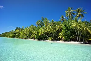 Arecaceae: Lagoon with a sandy beach and palm trees, Peleliu