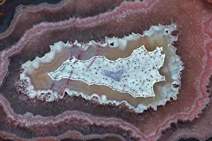 Agate: Laguna Agate