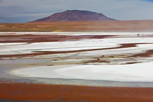 Lipez: Laguna Colorada containing white borax islands