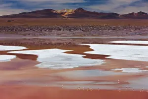 Lipez: Laguna Colorada is a shallow red lagoon containing white bor