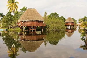 Huts: Laguna del Tesoro, Treasure Lagoon, palm trees and