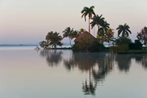 Cabins: Laguna del Tesoro, Treasure Lagoon, palm trees and