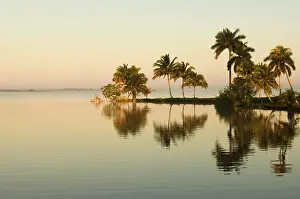 Filled: Laguna del Tesoro, Treasure Lagoon at sunrise, Zapata