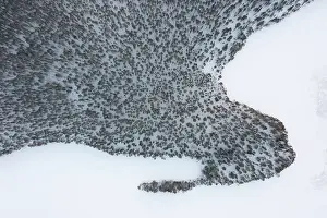 Finland: Lahnaselkae aerial
