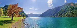 Achensee: Lake Achensee with autumn-coloured deciduous tree
