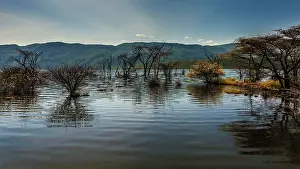 Floods: Lake Bogoria flooded waters after the rains Lake