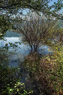 Floods: Lake Bogoria flooded waters after the rains Lake