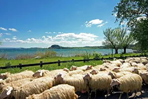 Lazio: Lake of Bolsena, View from San Magno area