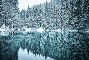 Thuringian: Lake in coniferous forest with snow, Pfanntalsteich