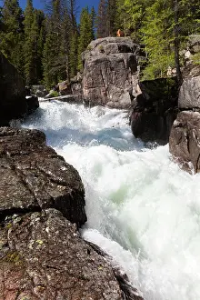 Beartooth: Lake Creek Falls Beartooth Highway, Montana, USA
