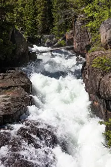 Beartooth: Lake Creek Falls Beartooth Highway, Montana, USA