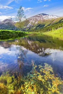Overgrown: Lake Dalevatnet, Sogn og Fjordane, Norway, Europe