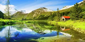 Overgrown: Lake Dalevatnet, Sogn og Fjordane, Norway, Europe