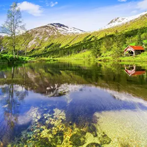 Overgrown: Lake Dalevatnet, Sogn og Fjordane, Norway, Europe