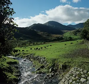 Heavy: Lake district farmland