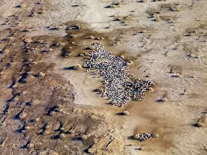 Eyre: Lake Eyre north South Australia