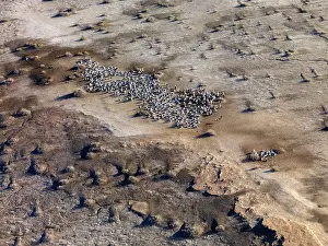 Eyre: Lake Eyre north South Australia
