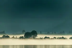 Ostallgaeu: Lake Forggensee with small group of trees in fog