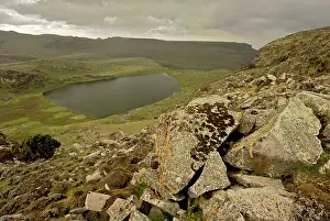 Michele Menegon: Lake Garba Guracha