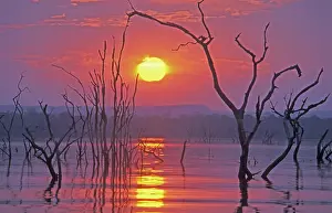 Drowned: Lake Kariba - Sunset over drowned trees