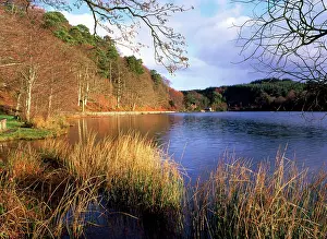 Llyn: Lake at Llyn Mair