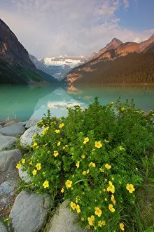 Louise: Lake Louise with Victoria-Glacier