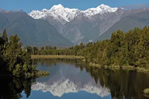 Reeds: Lake Matheson reflection