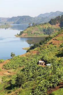 Rainy: Lake Mutanda near Kisoro in Uganda. On the