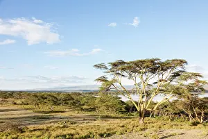 Crescent: Lake Naivasha and the Game Reserve Crescent
