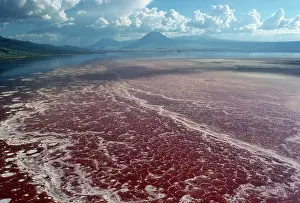 Natron: Lake Natron, Tanzania, Africa