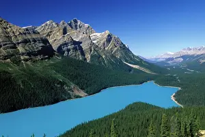 Peyto: Lake Peyto