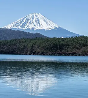 Hood: Lake Saiko, back volcano Mt. Fuji, Minamitsuru district