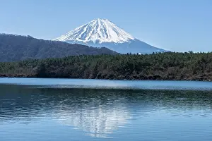 Hood: Lake Saiko, back volcano Mt. Fuji, Minamitsuru district