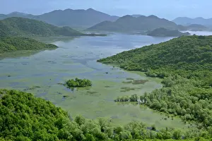 Skadar: Lake Skadar - embedded between mountains with marshland