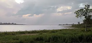 2005: Lake Victoria, Uganda, Africa - shore line grassy