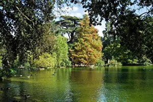 Rome: Lake in Villa Giulia Garden, Rome, Latium