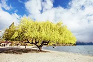Queenstown: Lake Wakatipu and Queenstown Bay Beach on a sunny s
