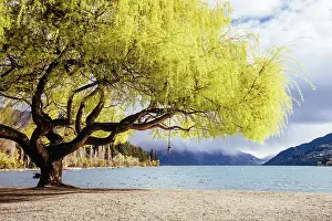 Queenstown: Lake Wakatipu and Queenstown Bay Beach on a sunny s