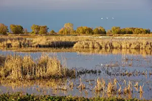 Sacramento: Lakes and marsh at Sacramento National Wildlife