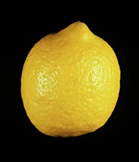 Lamas: Lamas lemon