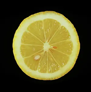 Lamas: Lamas lemon